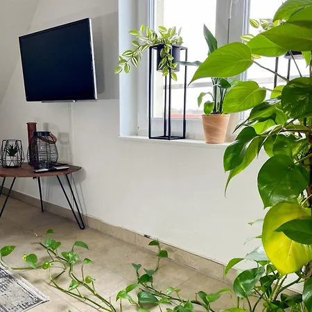 Apartment Ahaus: Stadtoase Mit Terrasse&privater Garage