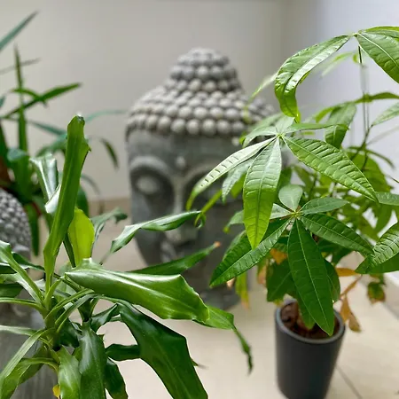 Ahaus: Stadtoase Mit Terrasse & Privater Garage דירה אהאוס