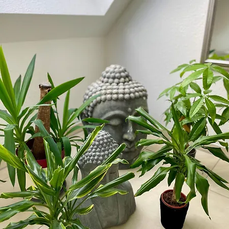 Ahaus: Stadtoase Mit Terrasse & Privater Garage