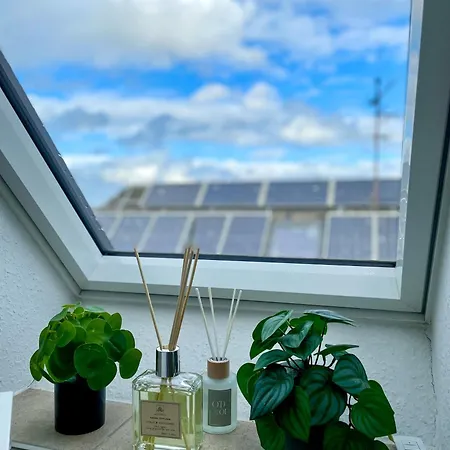 Apartment Ahaus: Stadtoase Mit Terrasse&privater Garage *