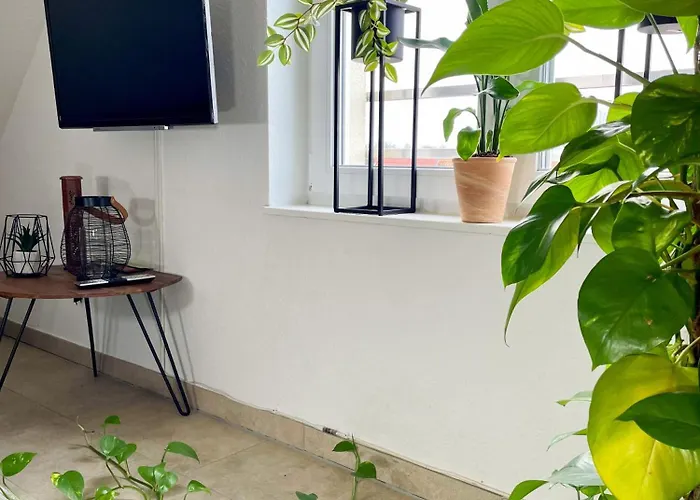 Apartment Ahaus: Stadtoase Mit Terrasse&privater Garage