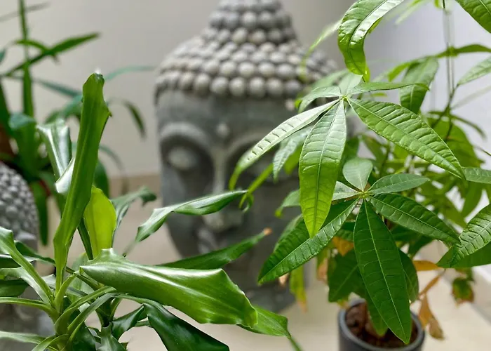 Ahaus: Stadtoase Mit Terrasse & Privater Garage شقة آهاوس