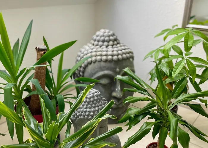 Ahaus: Stadtoase Mit Terrasse & Privater Garage